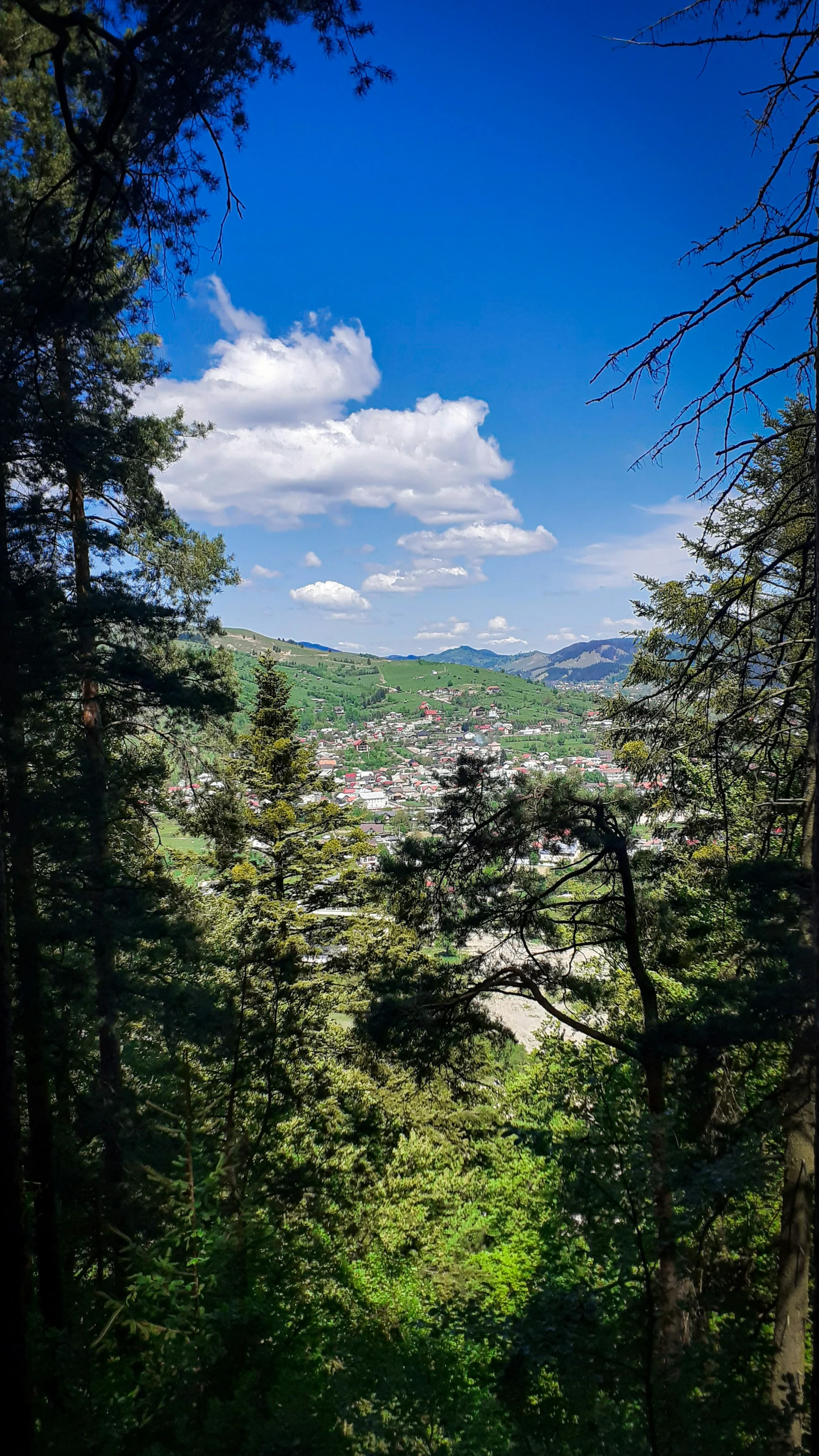 Day 7 Ieud wooden church Dragomiresti museum Ciocanesti painted houses
